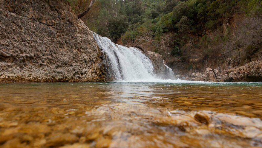 Pure Water